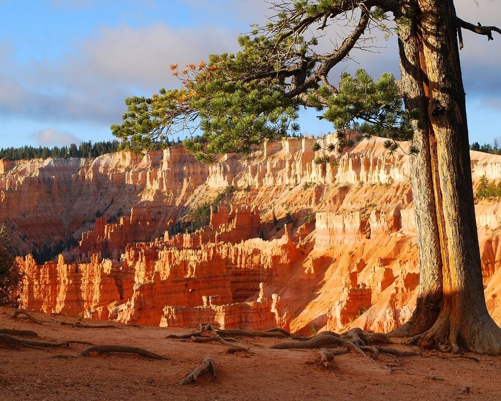 Bryce Canyon National Park Rated No. 8 Best National Park for Hiking
