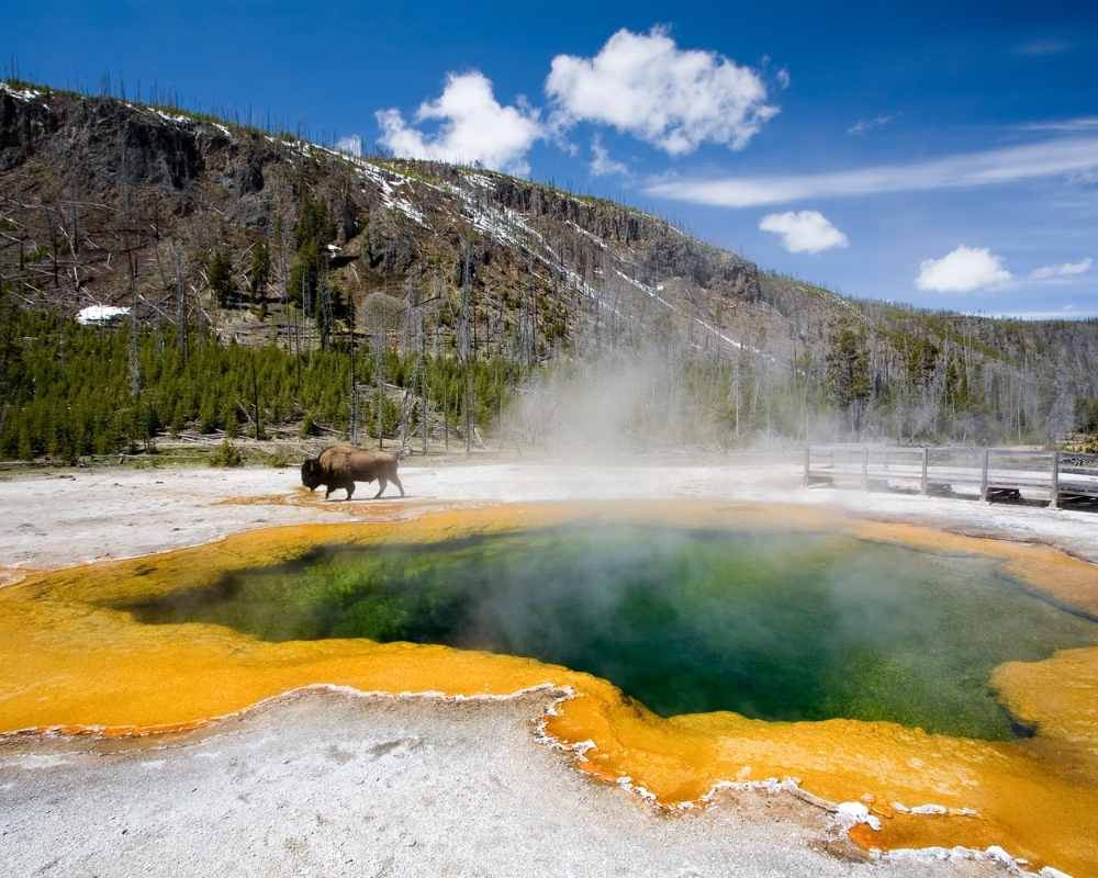 Yellowstone National Park in the USA - Rated No. 1 Best National Park