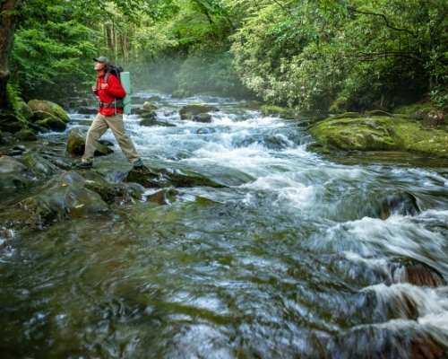 The Great Smoky Mountains National Park in the USA - Rated No. 12 Best National Park