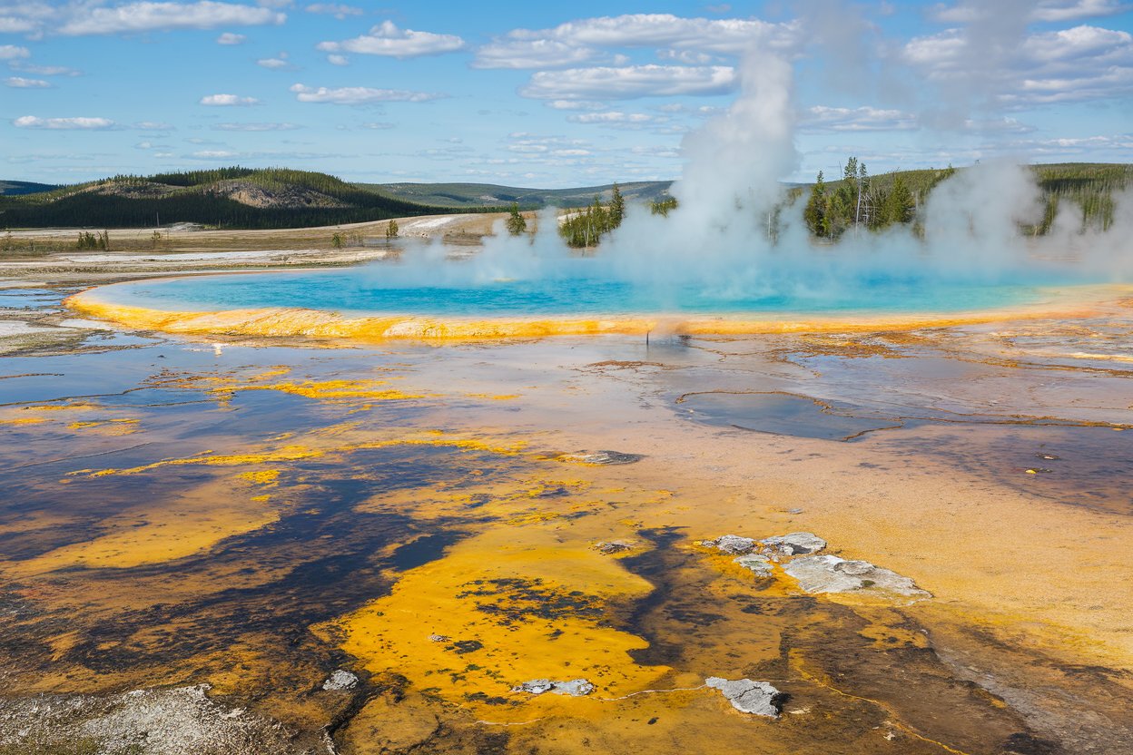 mud pools in Yellowstone National Park