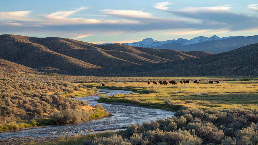 lamar valley exploration guide