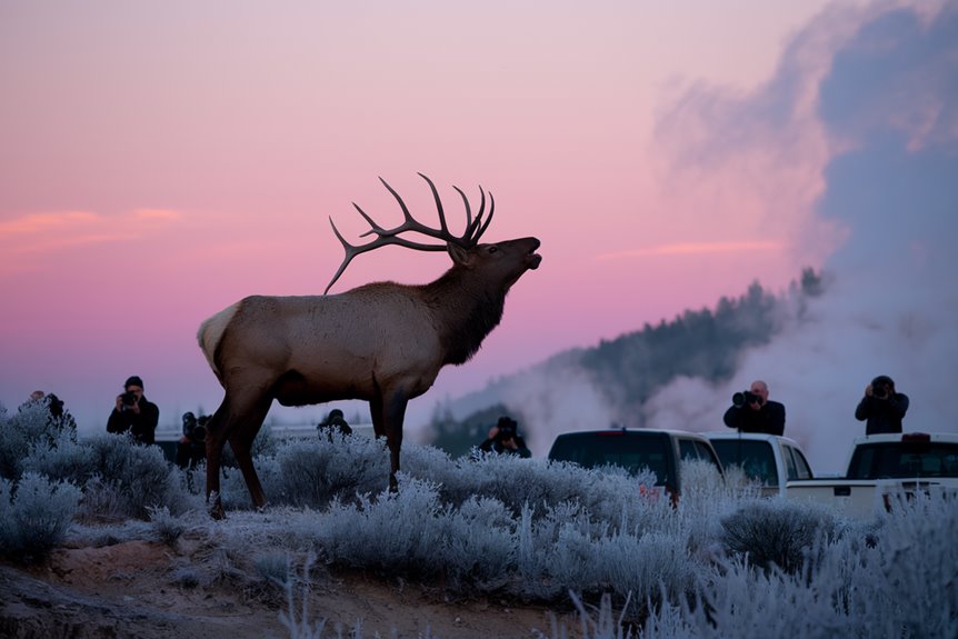 prioritize safety always