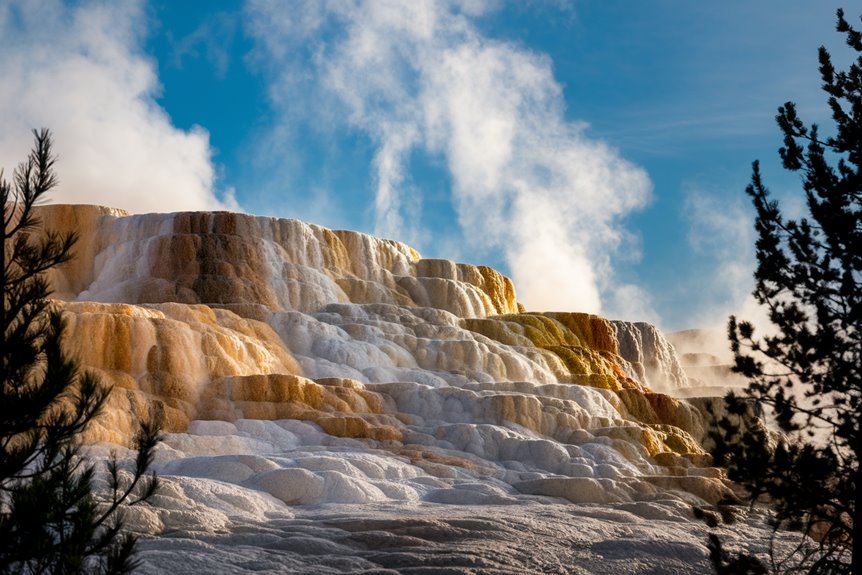 thermal springs in yellowstone