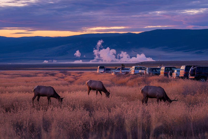 respect nature s wildlife guidelines