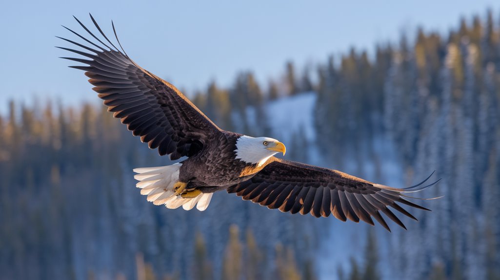 yellowstone s best birdwatching opportunities